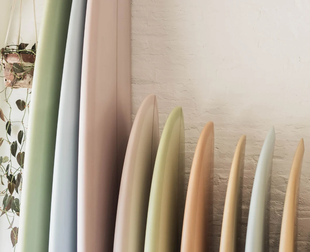 Surfboards Lined Up