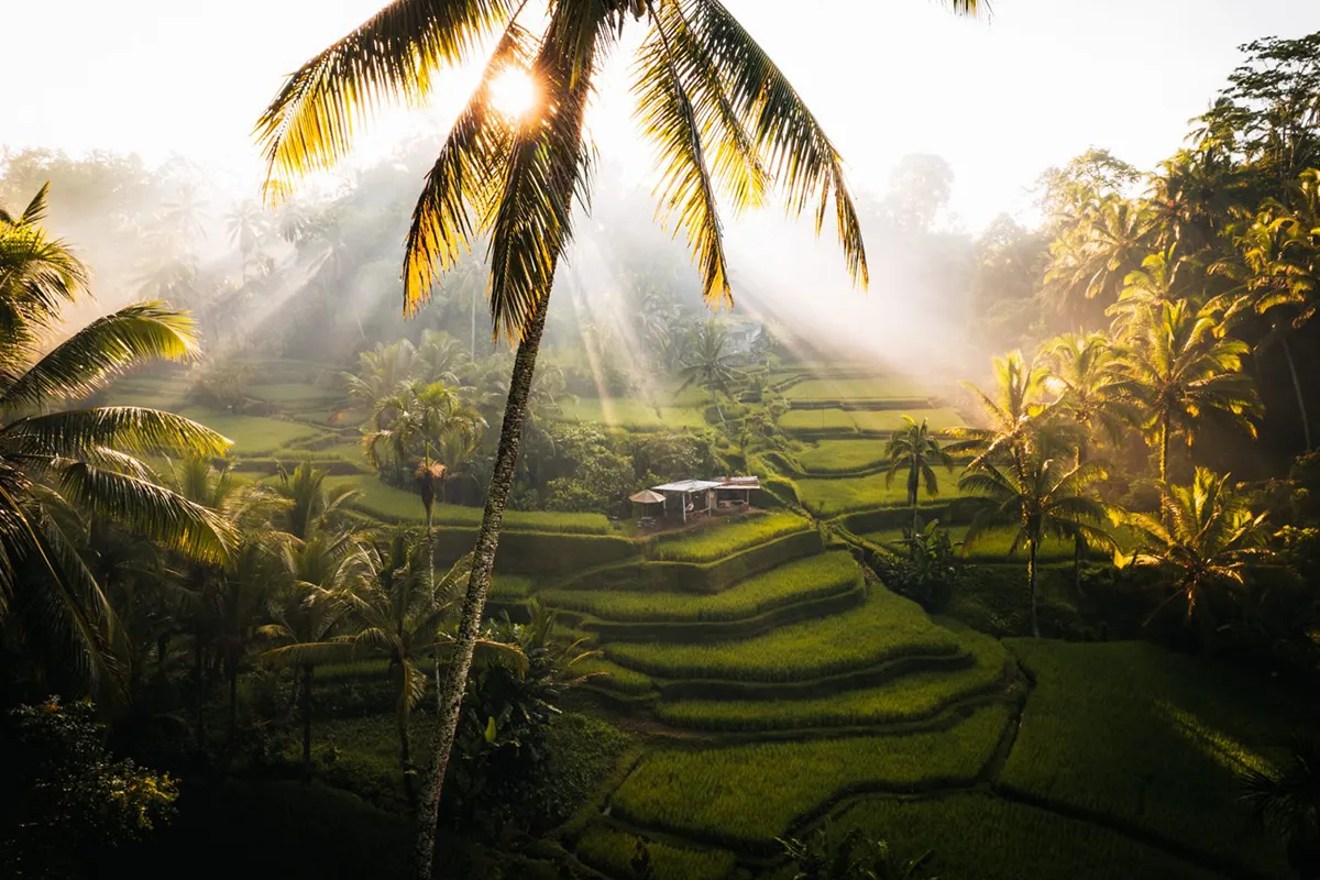 Ubud