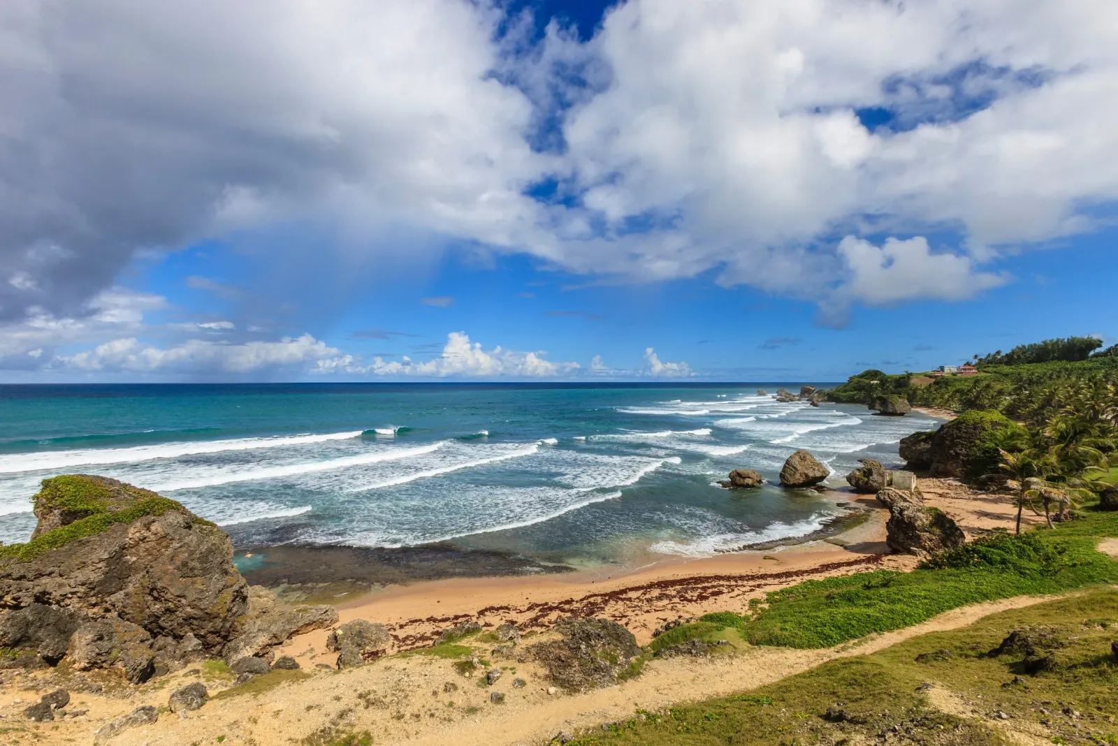 Barbados beach