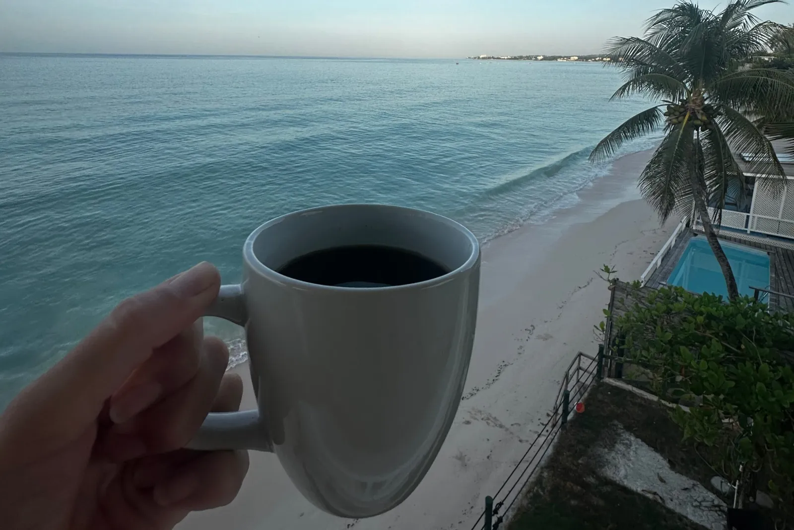 Barbados coffee by the sea