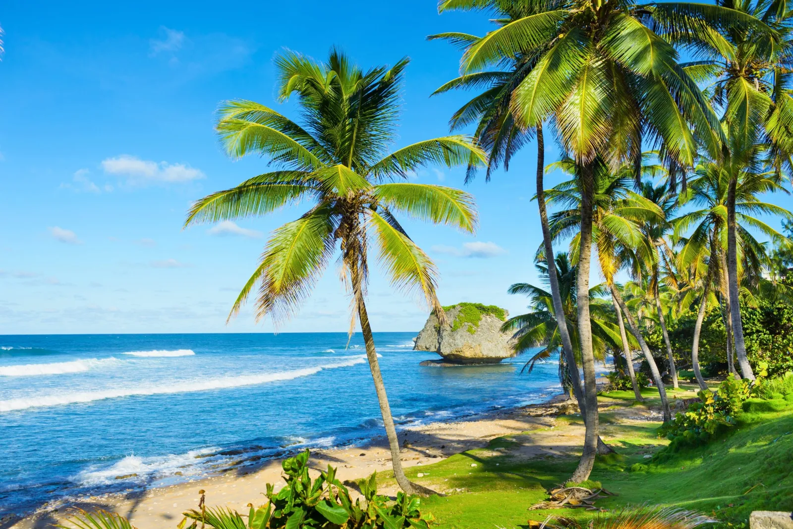 Barbados beach