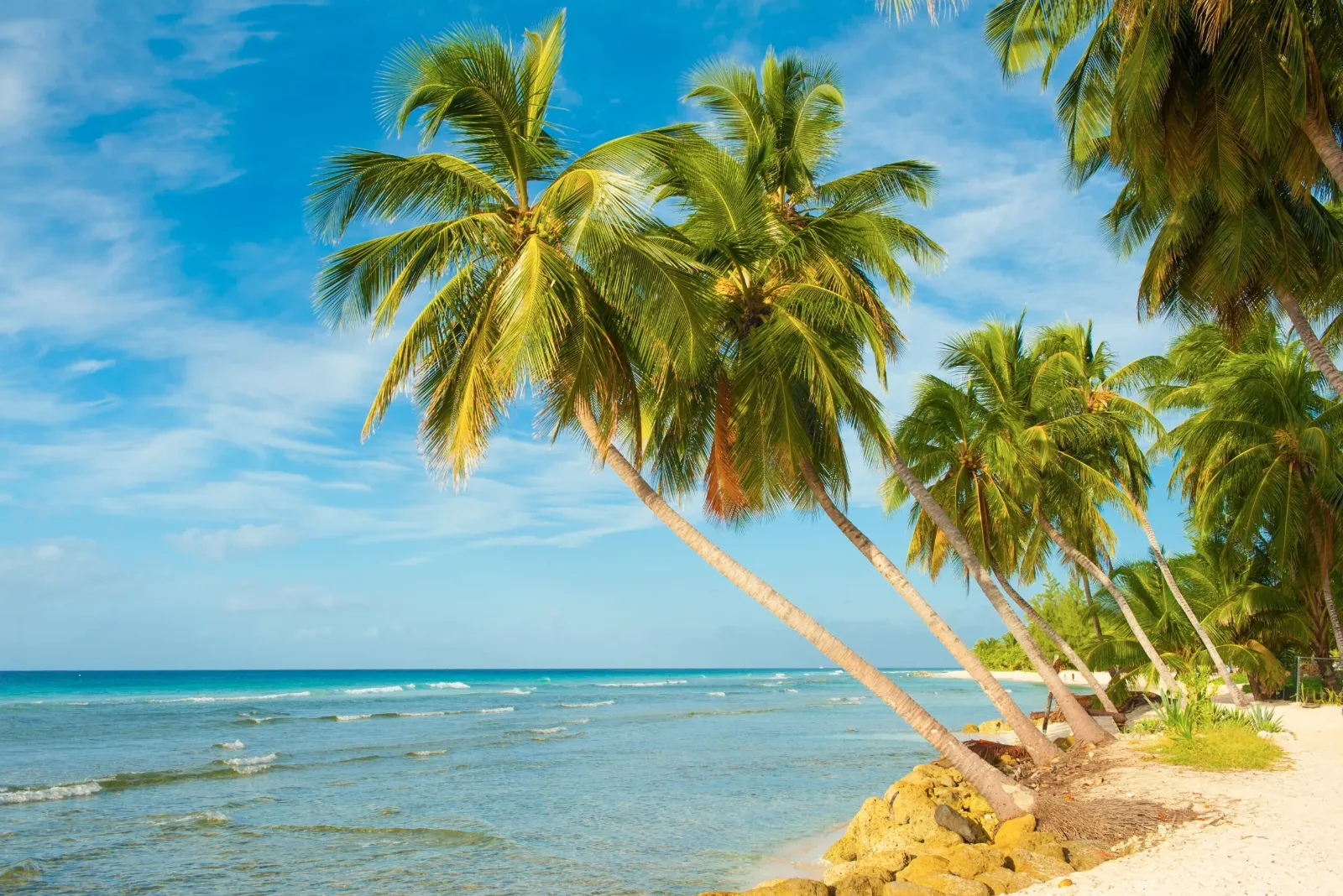 Barbados Womens Surf Camp