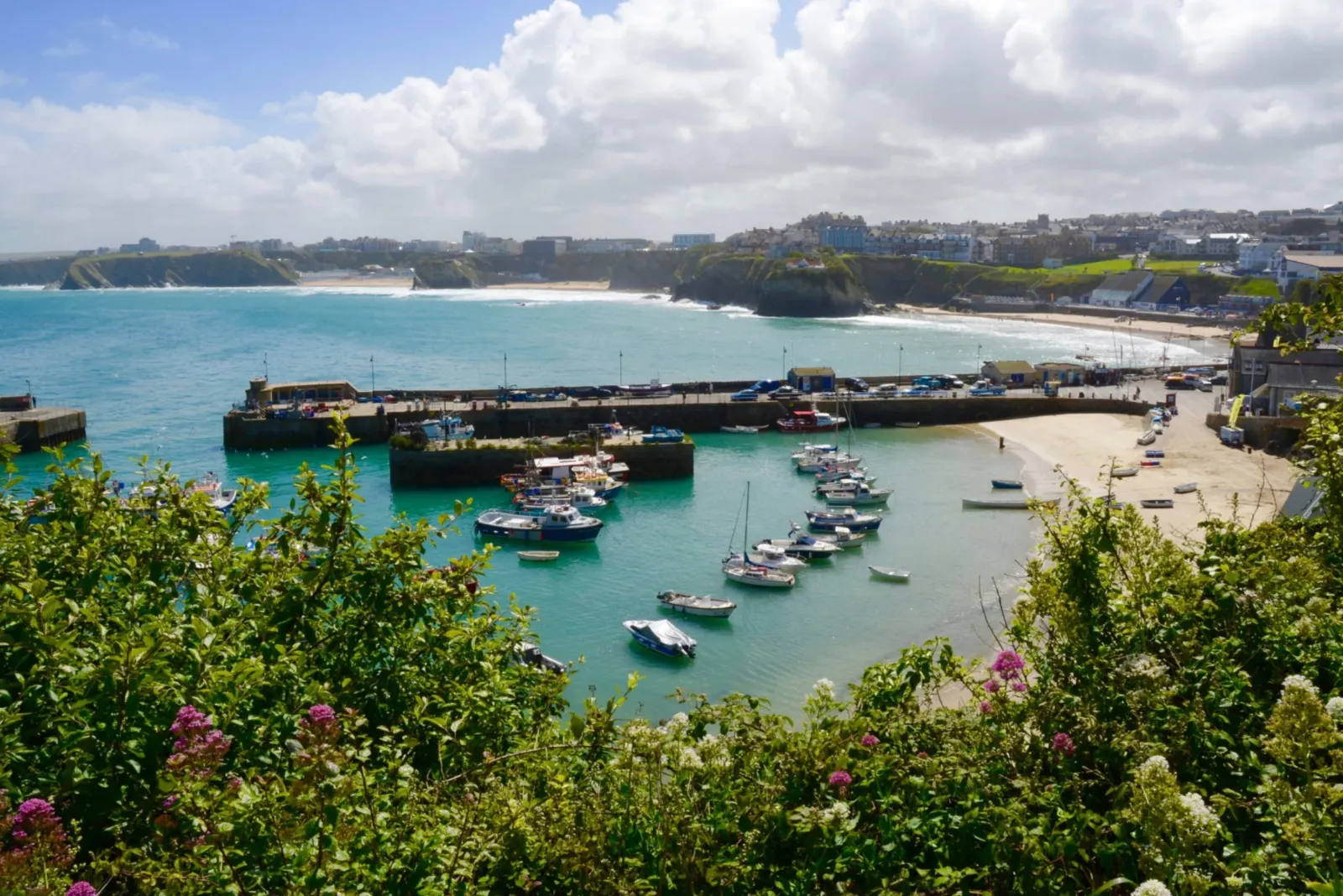 Newquay harbour