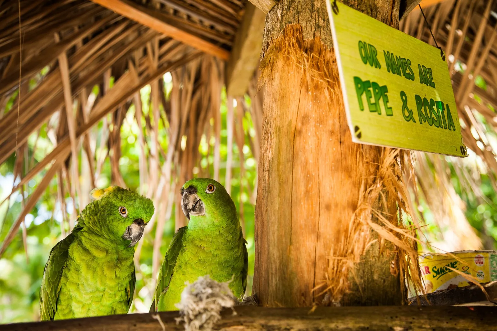 Costa Rica & Nicaragua Ladies Surf Trip