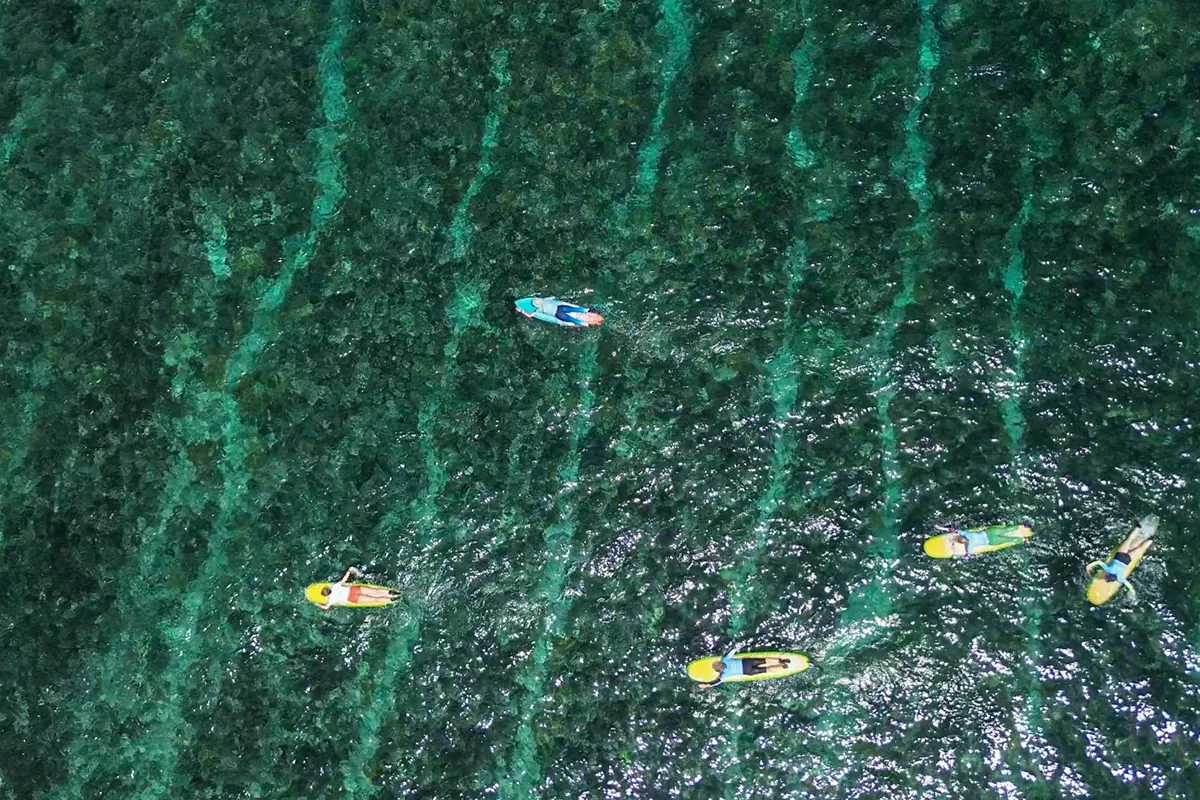 Am I good enough to surf in Bali