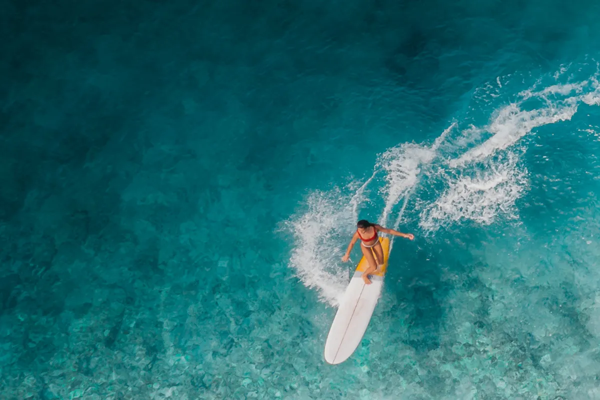 Longboarding Barbados Surf Retreats