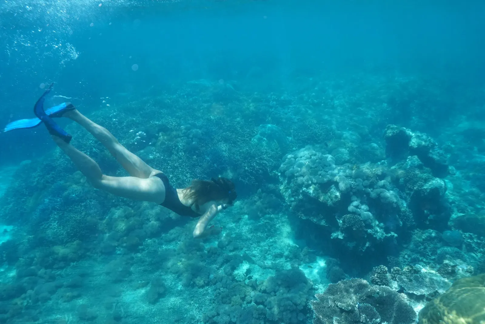 Nusa Lembongan Bali snorkelling