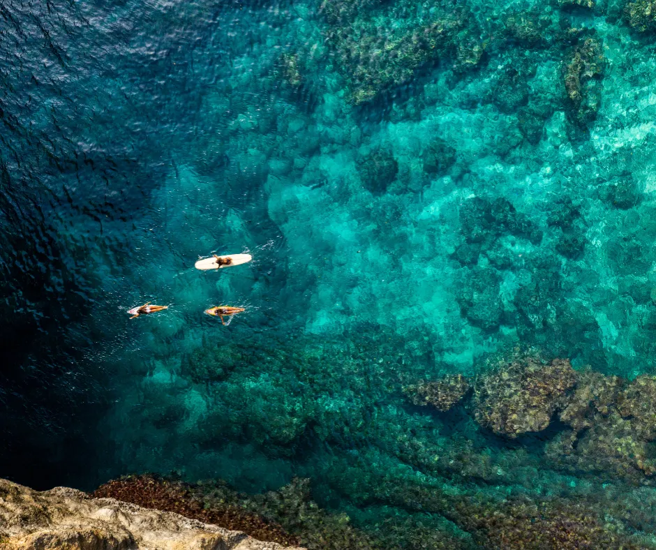 Overcoming Fear of Surfing