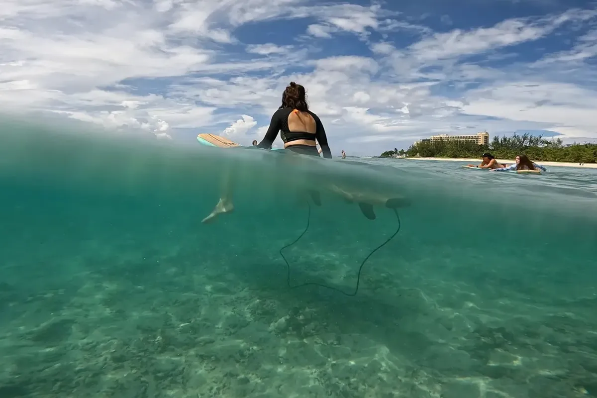 Surfing in Barbados