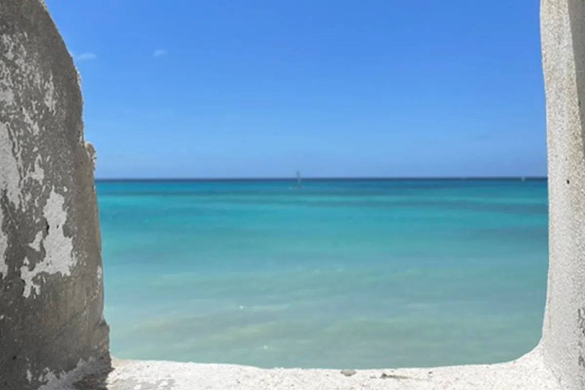 Surfing in Barbados