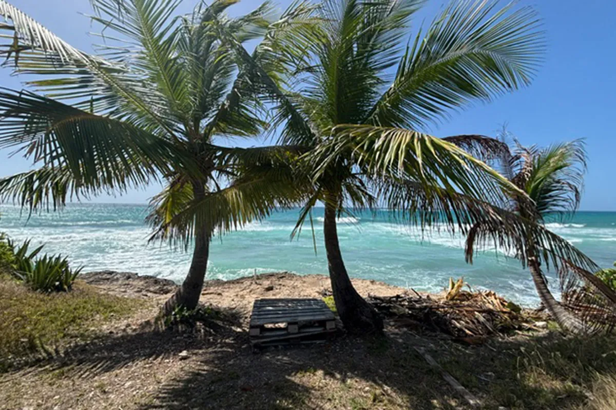 Surfing in Barbados