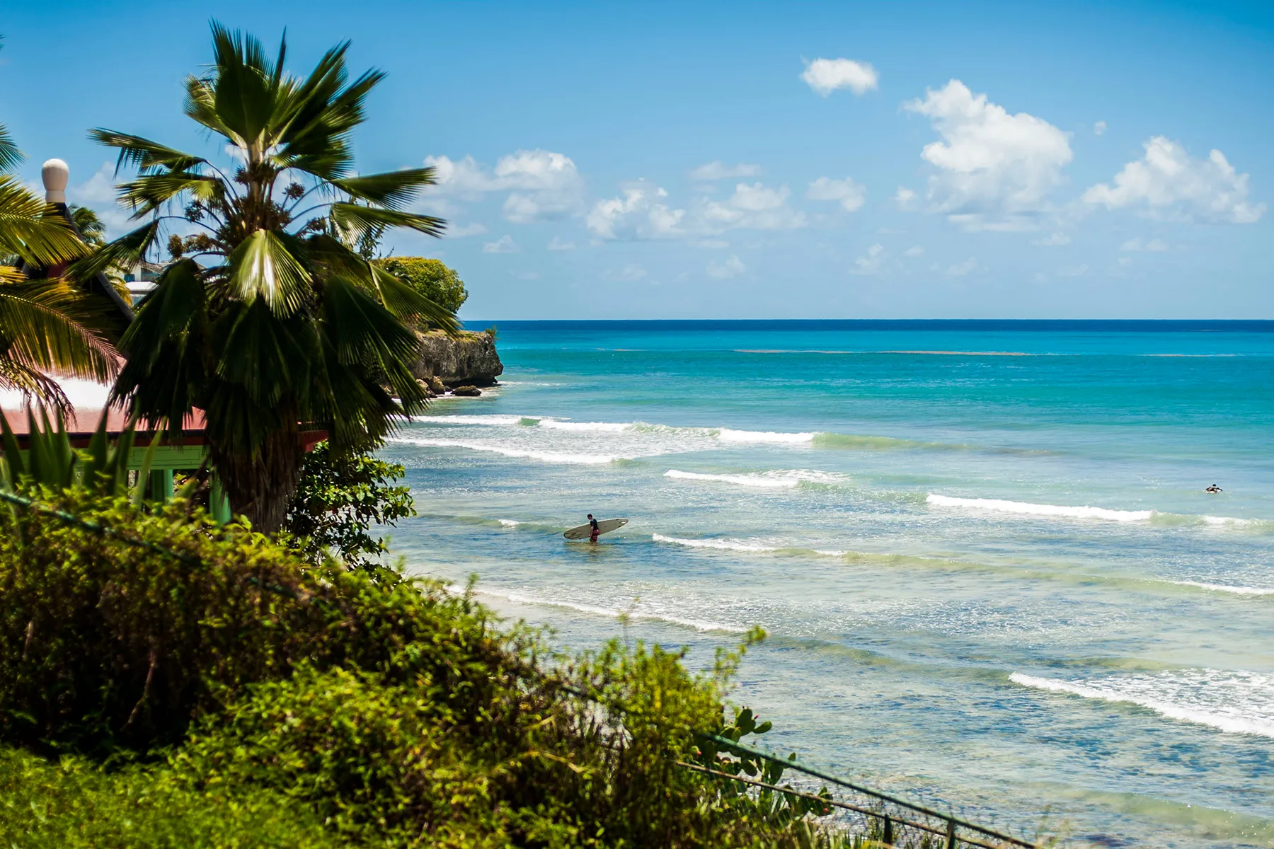Surfing in Barbados
