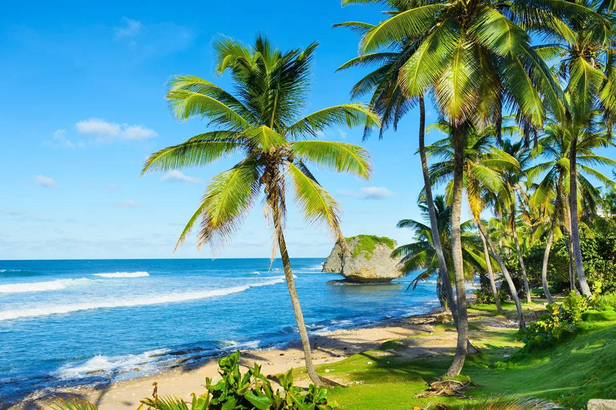Surfing in Barbados