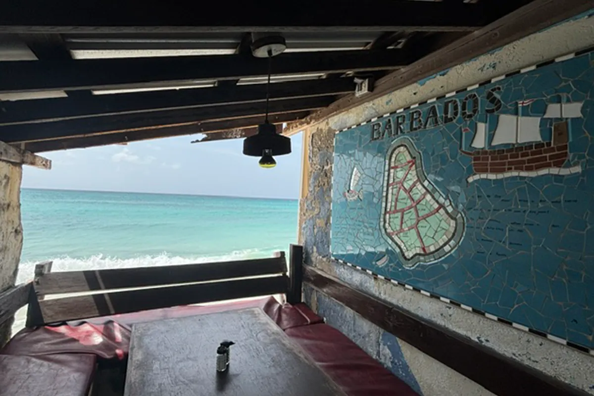 Surf cafe in Barbados